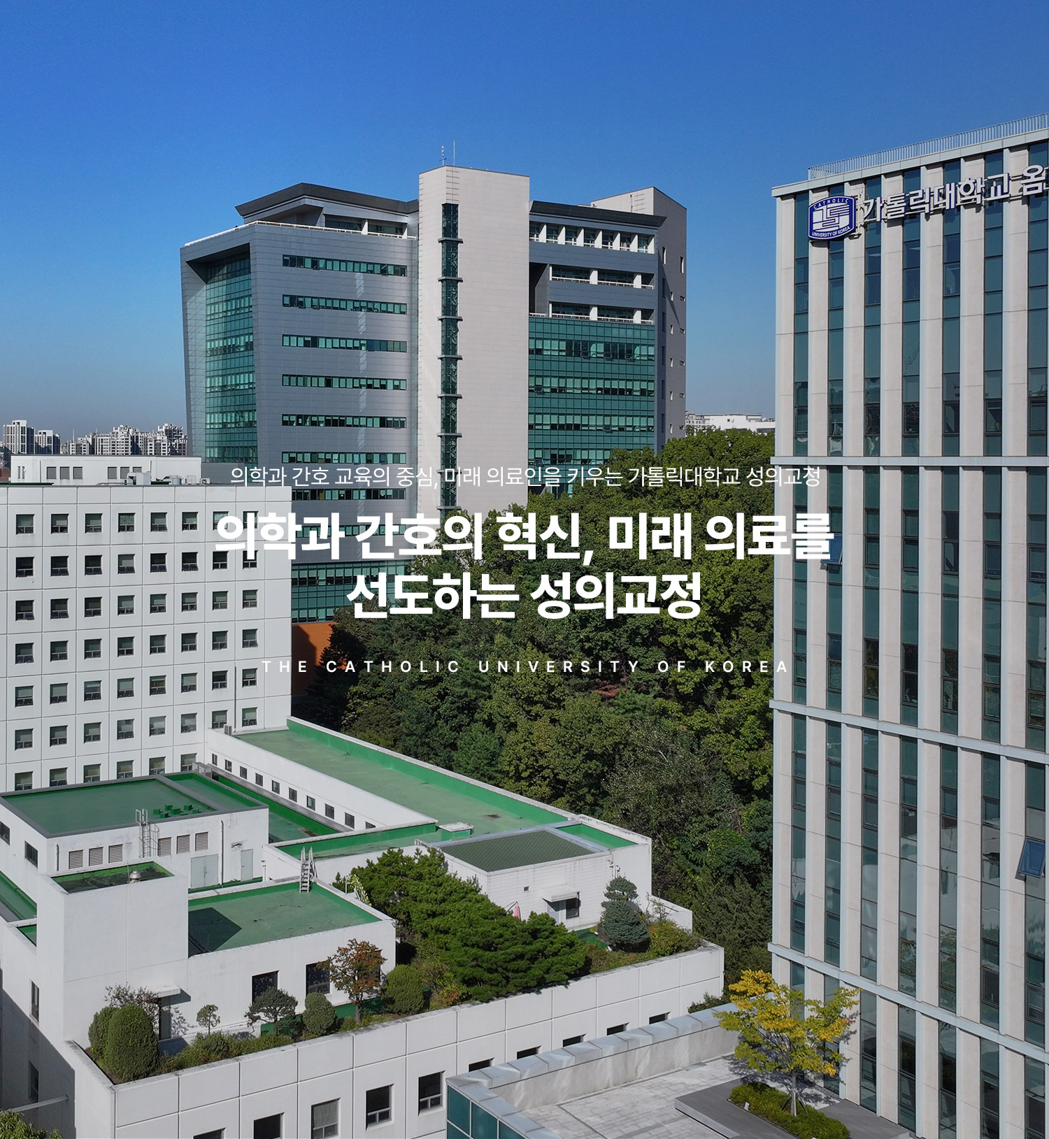 메인비주얼 이미지