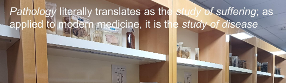 병리학교실